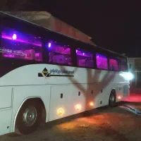 مشهد مقدس ۱۰ فروردین هر ده نفر یکنفر رایگان