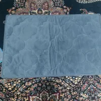 ۳عددپادری نو