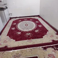 فرش ماشینی درجه ۱|فرش|تهران, تختی|دیوار