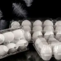 شانه طلقی تخم مرغ ۶ تایی و ۹تایی جنس خوب