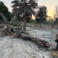 نیازمند کارگر ساده