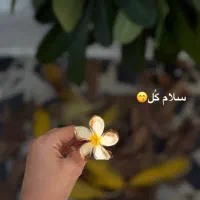 اگهی استخدام ادمین حضوری