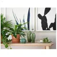 مجسمه دکوری کاکتوس|مجسمه، تندیس، ماکت|تهران, والفجر (افسریه)|دیوار