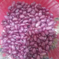 لوبیا چیتی و قرمز|خوردنی و آشامیدنی|موچش, |دیوار