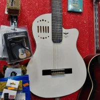 گیتار درجه یک با ضمانت کتبی با مدیریت دکتر حقیقی|گیتار، بیس، امپلیفایر|زنجان, |دیوار