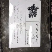 سبزی خورشتی وپلویی