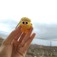 جوجه مو فرفری