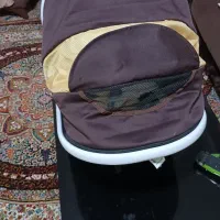 کالسکه|کالسکه و لوازم جانبی|کرج, حصارک پایین|دیوار