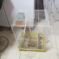 قفس پرنده بزرگ