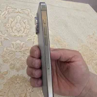 آیین 15پرومکس