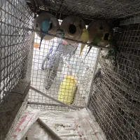 مرغ عشق هست جف بزرگ واکی هست