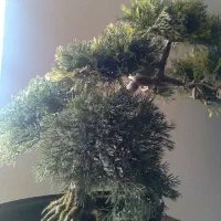 فروش حواله اطلسGL