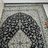 فرش سرمه ای ۴متری|فرش|نوشهر, |دیوار