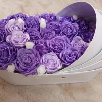 باکس گل رمانی