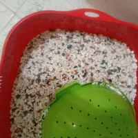 شن اکواریوم ماهی