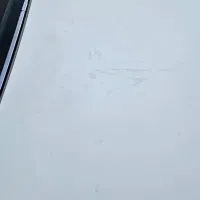 پارس سال|خودرو سواری و وانت|رفسنجان, |دیوار