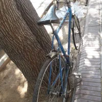 دوچرخه ۲۷ کورسی|دوچرخه، اسکیت، اسکوتر|شیراز, وصال|دیوار