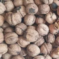 ۳کیلو گردو تویسرکان امساله و خشک