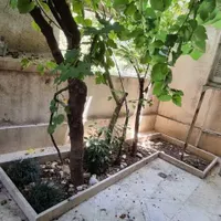 ۷۵ متر حیاط دار مستقل (دربست)
