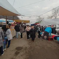 نیازمند فروشنده خانم