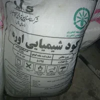4تا کوت