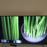 ال‌ای‌دی۶۵اینچ سونی سری۸گوگلTVهوشمند۱۲۰هرتز|تلویزیون و پروژکتور|تهران, پرستار|دیوار