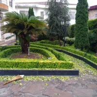 باغبانی و کارواش حیاط و سقف ویلا|خدمات باغبانی و درختکاری|سلمانشهر, |دیوار