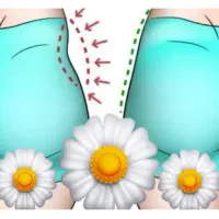 جشنواره فیلرباسن هیپ دیپ بیکینی و پشت دست