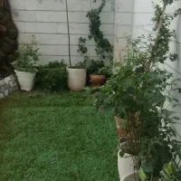 تهاتروفروش آپارتمان۶۲متردوخواب پارکینگدار تهرانسر|فروش آپارتمان|تهران, شهرک پاسداران|دیوار