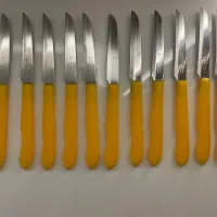 کارد میوه خوری