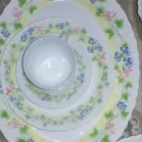 سرویس ۴۰پارچه آرکوپال امارات اصل