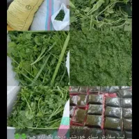 سبزی رامهرمز خوش عطر وخوشمزه عمده وخورده|خوردنی و آشامیدنی|سیراف, |دیوار