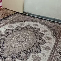 ویلایی۲طبقه طبقه همکف۶۵متر۱خواب محمدشهر چمران۱نور۷|اجارهٔ خانه و ویلا|محمدشهر, شهرک چمران|دیوار