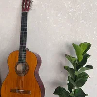 گیتار کلاسیک mv3 وفائی