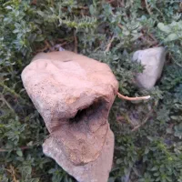 پی سوز سنگی باستان قدیمی|کلکسیون اشیاء عتیقه|خرمآباد, |دیوار