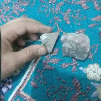 فسیل‌صدف‌و‌مسیل‌حیوان‌در‌یایی‌‌‌چند‌سا‌له|کلکسیون و سرگرمی|مشهد, رده|دیوار