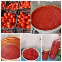 عرضه مستقیم و بدون واسطه خشکبار و محصولات خانگی
