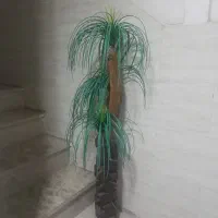 گل مصنوعی سالم بدون گلدان سیصدهزار|گل مصنوعی|کرج, شاهین‌ویلا|دیوار