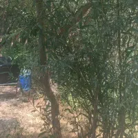 ارومیه گردی