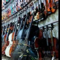 ویولن/ همه سایز همه رنگ