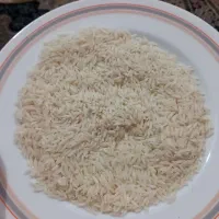 برنج هاشمی درجه یک سورتینک زده از دست خود کشاورز|خوردنی و آشامیدنی|کلاچای, |دیوار