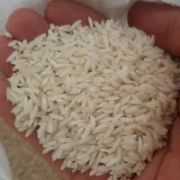 برنج میانه مامان|خوردنی و آشامیدنی|کرج, حصارک پایین|دیوار