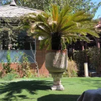 استخدام سالن کار خانوم ظرفشور خانم
