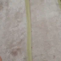 پارس ۹۵ بدون رنگ