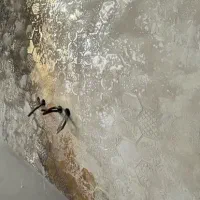 پتینه ،گچبری، طرح سنگ|خدمات پیشه و مهارت|ایلام, |دیوار