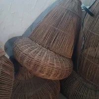 لوستر|لوستر و چراغ آویز|رشت, کاکتوس|دیوار