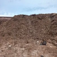 کود‌حیوانی