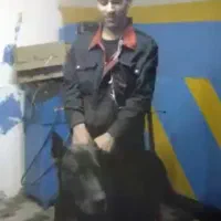 مکانیک سیار هیوندا کیا چینی پژو پرایدشبانه روز