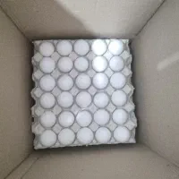 فروش تخم‌مرغ از کیلویی 155 تا 220 تومان