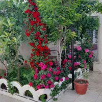 خونه ویلا